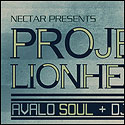 Project Lion heart, Rayz Designz