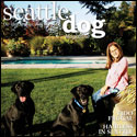 Seattle Dog Winter 2008 Rayz Designz