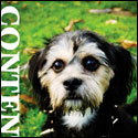 Seattle Dog Magazine Blake Lewis Sir Diddimus Rayz Designz
