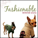 Seattle Dog Magazine Rayz Designz